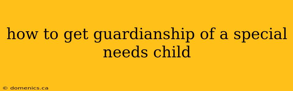 how to get guardianship of a special needs child