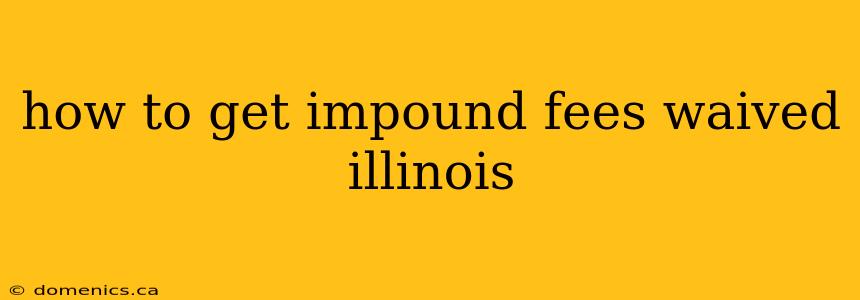 how to get impound fees waived illinois