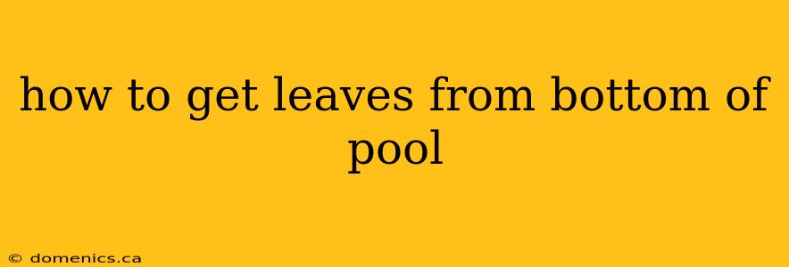 how to get leaves from bottom of pool