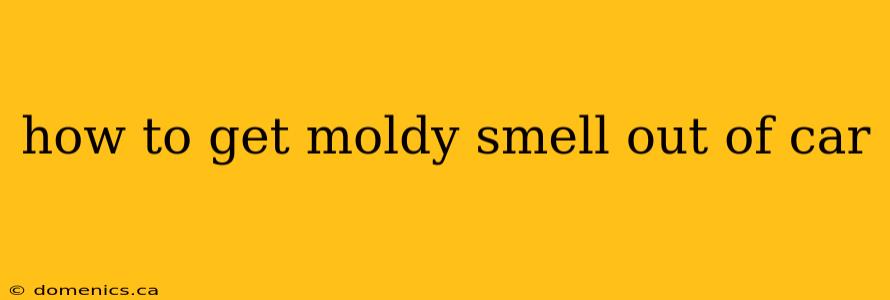 how to get moldy smell out of car