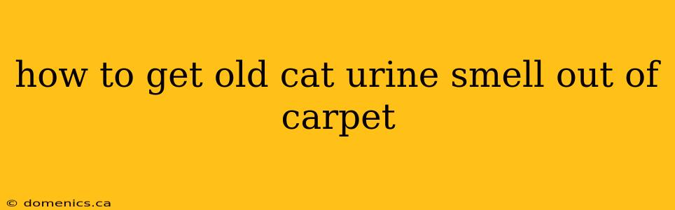 how to get old cat urine smell out of carpet