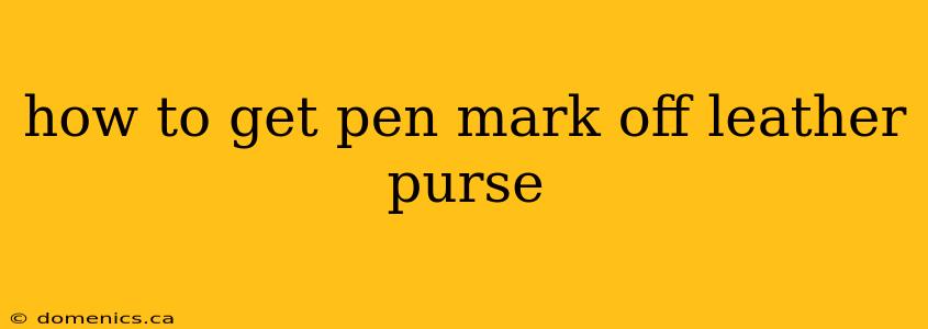 how to get pen mark off leather purse