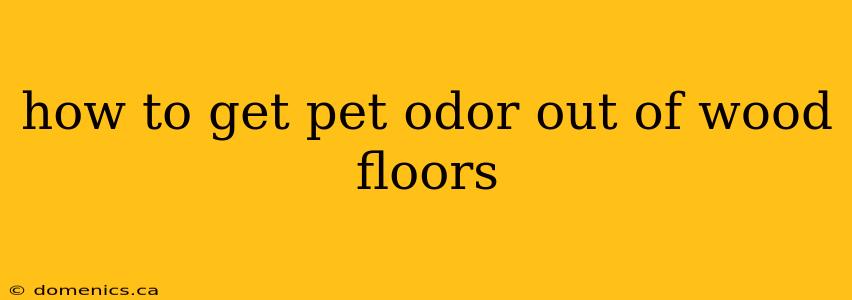 how to get pet odor out of wood floors
