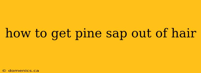 how to get pine sap out of hair