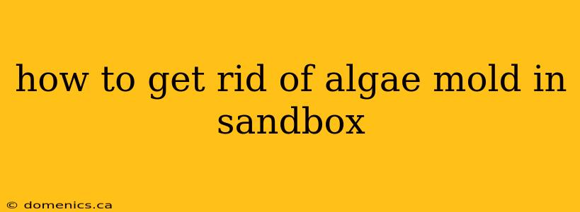 how to get rid of algae mold in sandbox