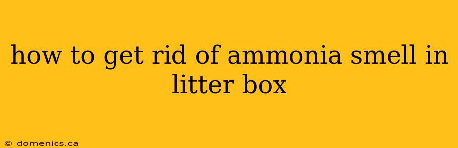 how to get rid of ammonia smell in litter box