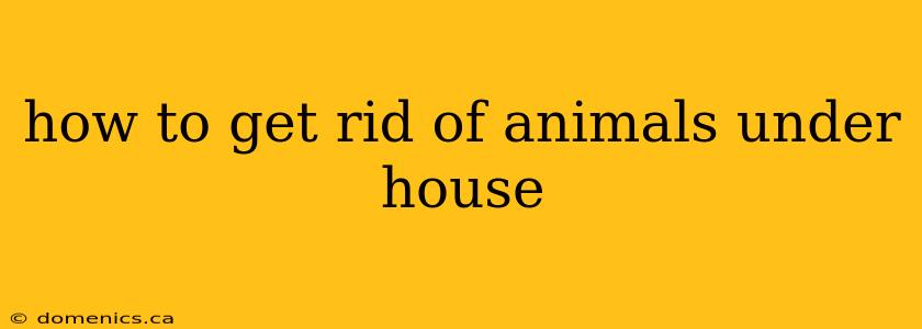 how to get rid of animals under house