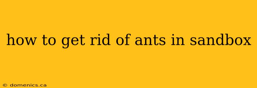 how to get rid of ants in sandbox