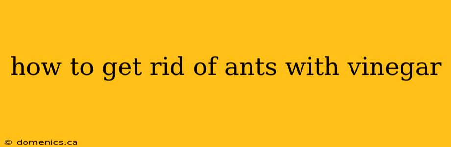 how to get rid of ants with vinegar