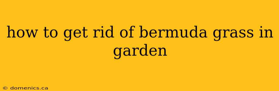 how to get rid of bermuda grass in garden