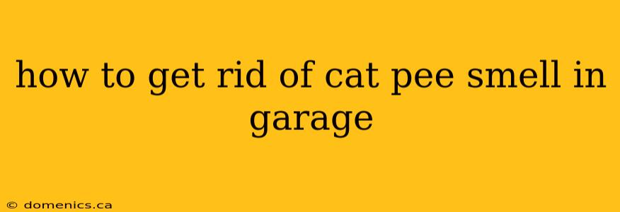 how to get rid of cat pee smell in garage