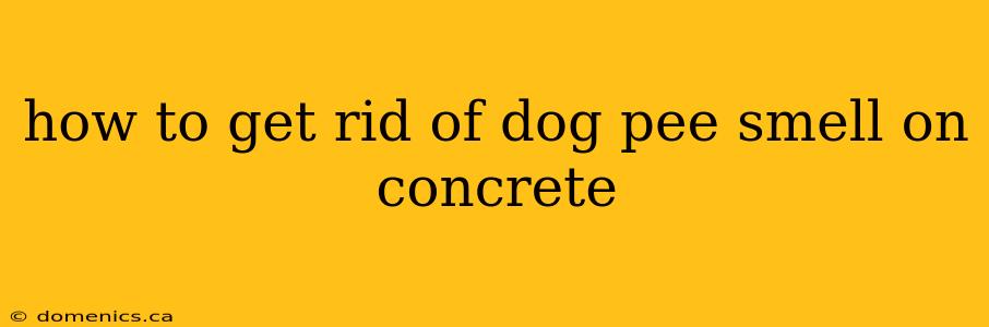 how to get rid of dog pee smell on concrete