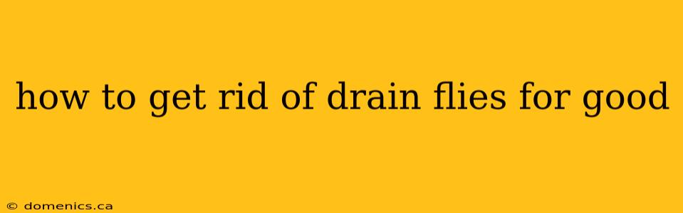 how to get rid of drain flies for good