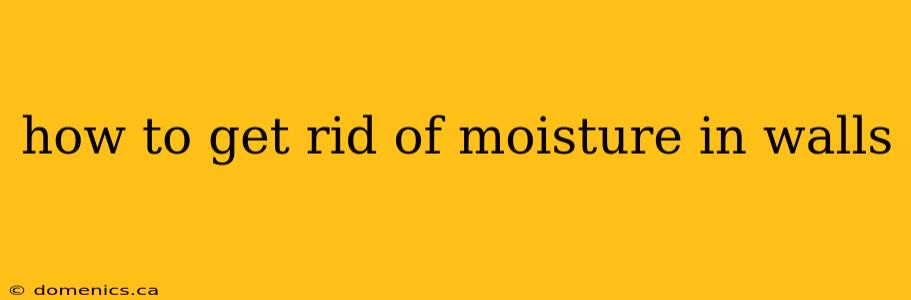 how to get rid of moisture in walls