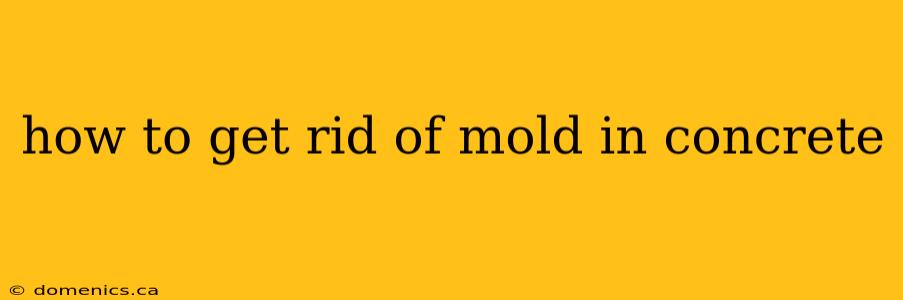 how to get rid of mold in concrete