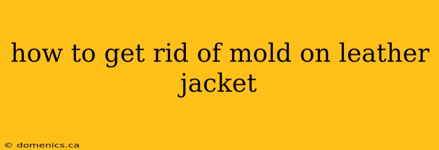 how to get rid of mold on leather jacket