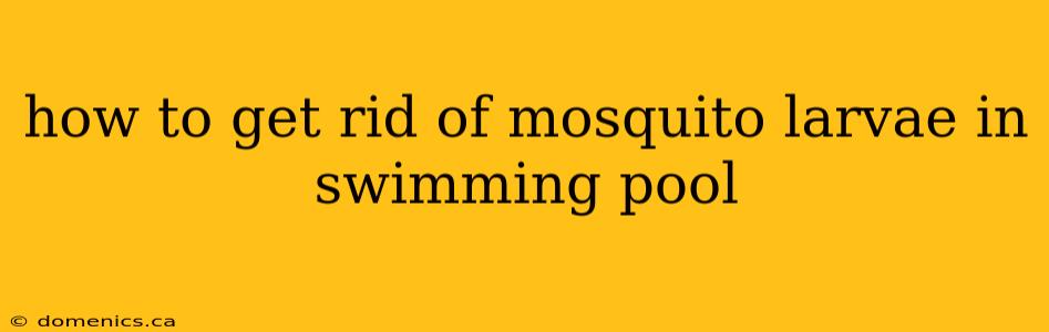 how to get rid of mosquito larvae in swimming pool
