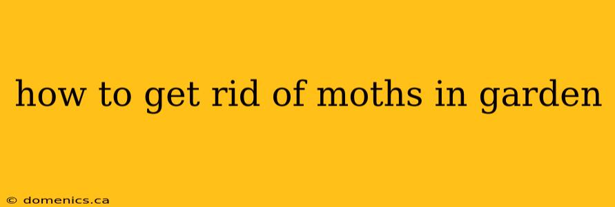 how to get rid of moths in garden