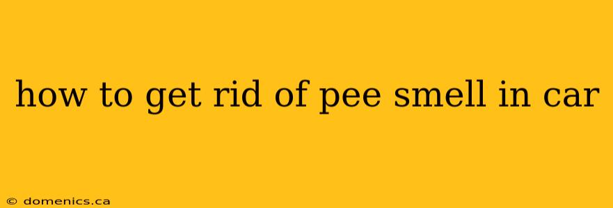 how to get rid of pee smell in car