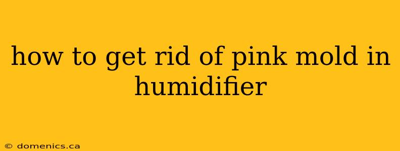 how to get rid of pink mold in humidifier