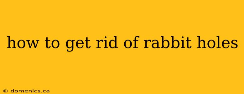 how to get rid of rabbit holes