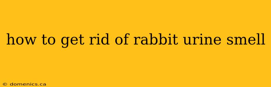 how to get rid of rabbit urine smell