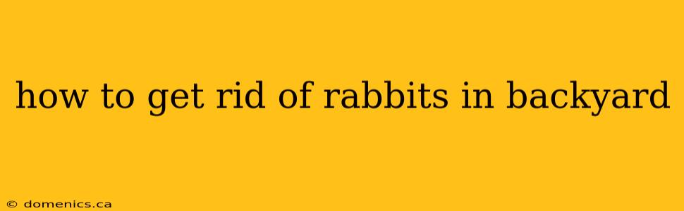 how to get rid of rabbits in backyard