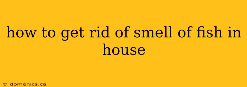 how to get rid of smell of fish in house