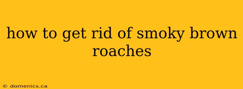 how to get rid of smoky brown roaches