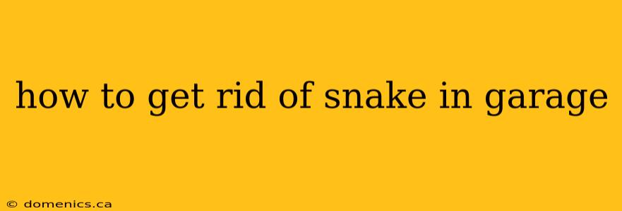 how to get rid of snake in garage