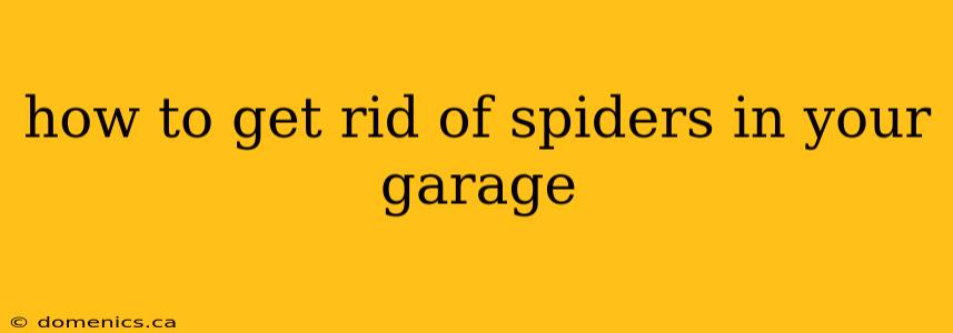 how to get rid of spiders in your garage