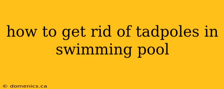 how to get rid of tadpoles in swimming pool