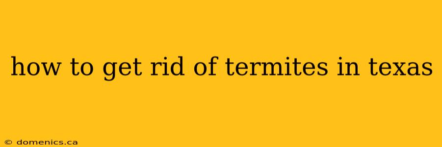 how to get rid of termites in texas