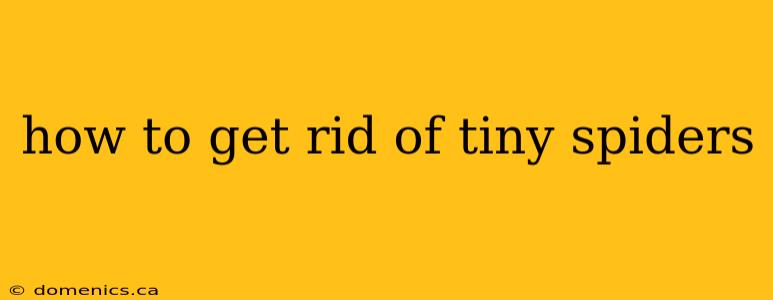 how to get rid of tiny spiders