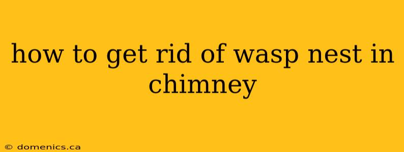 how to get rid of wasp nest in chimney