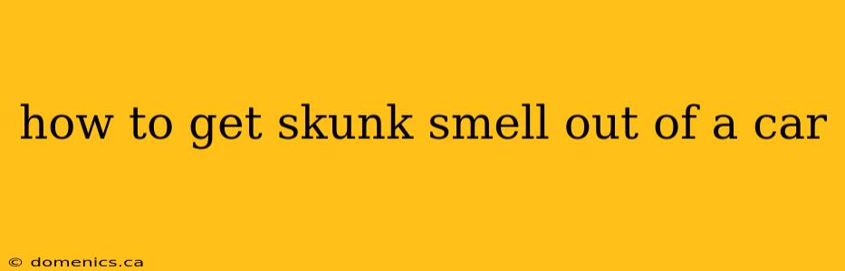 how to get skunk smell out of a car