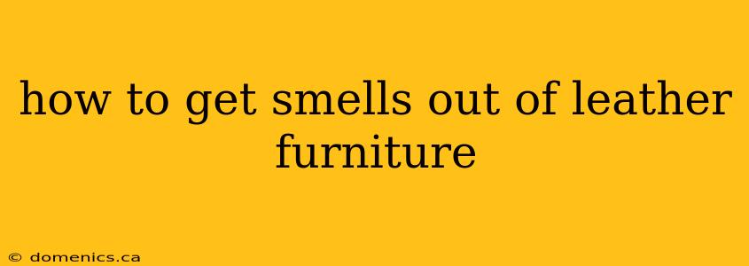 how to get smells out of leather furniture