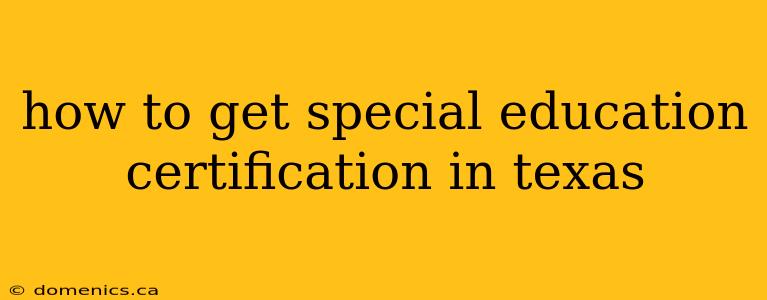 how to get special education certification in texas