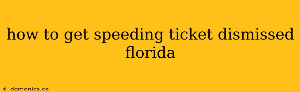 how to get speeding ticket dismissed florida