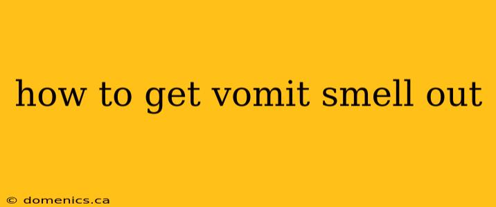 how to get vomit smell out