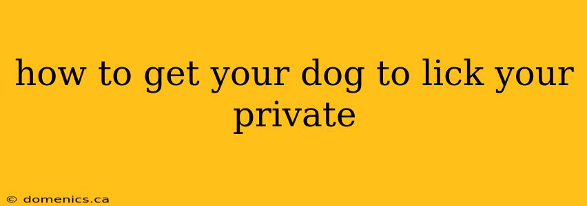 how to get your dog to lick your private