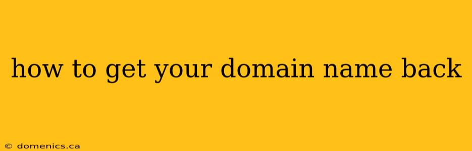 how to get your domain name back