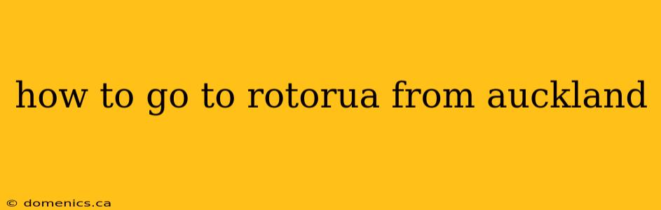 how to go to rotorua from auckland