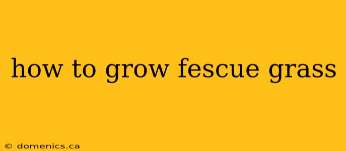 how to grow fescue grass
