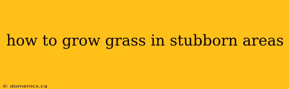 how to grow grass in stubborn areas