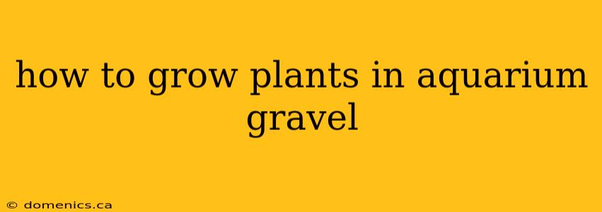 how to grow plants in aquarium gravel