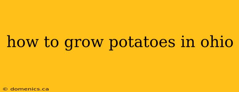 how to grow potatoes in ohio