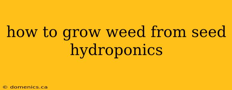 how to grow weed from seed hydroponics