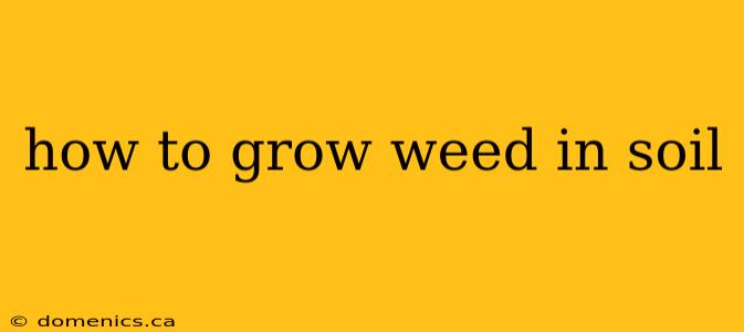 how to grow weed in soil