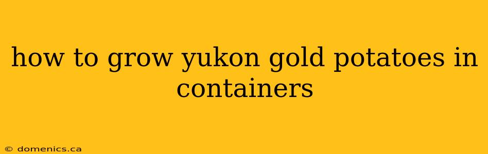 how to grow yukon gold potatoes in containers